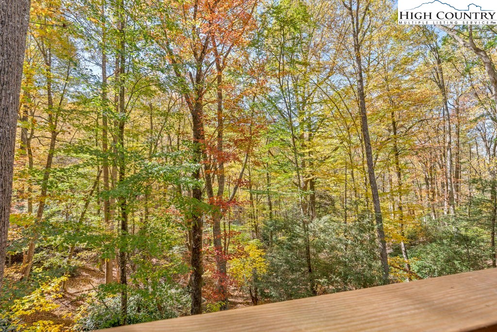 359 Sorrento Falls Road Blowing Rock, NC 28605 - Photo 44 of 46 a view of a wooden door and an outdoor space