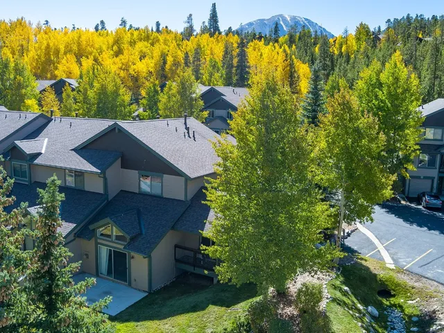 an aerial view of a house with a yard swimming pool and large trees