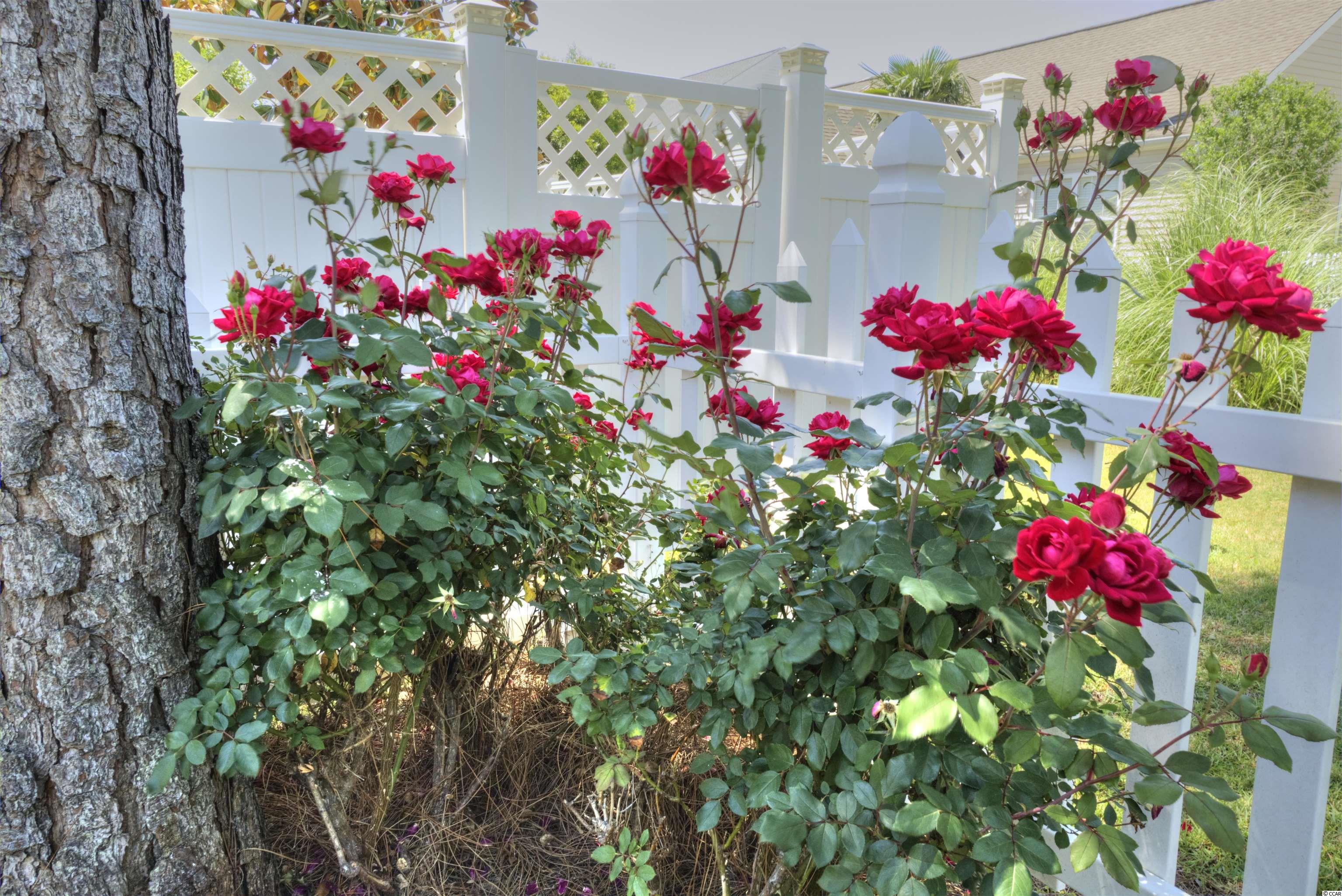 124 Powder Springs Loop Myrtle Beach, SC 29588 - Photo 38 of 39 Gallery Image 38