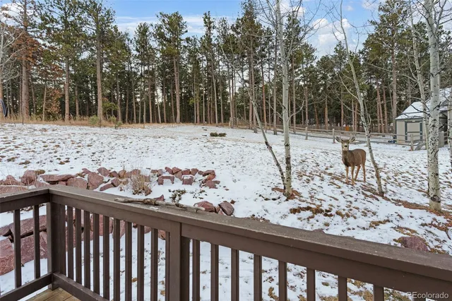 $625,000 | 1157 Ptarmigan Drive, Woodland Park, CO 80863