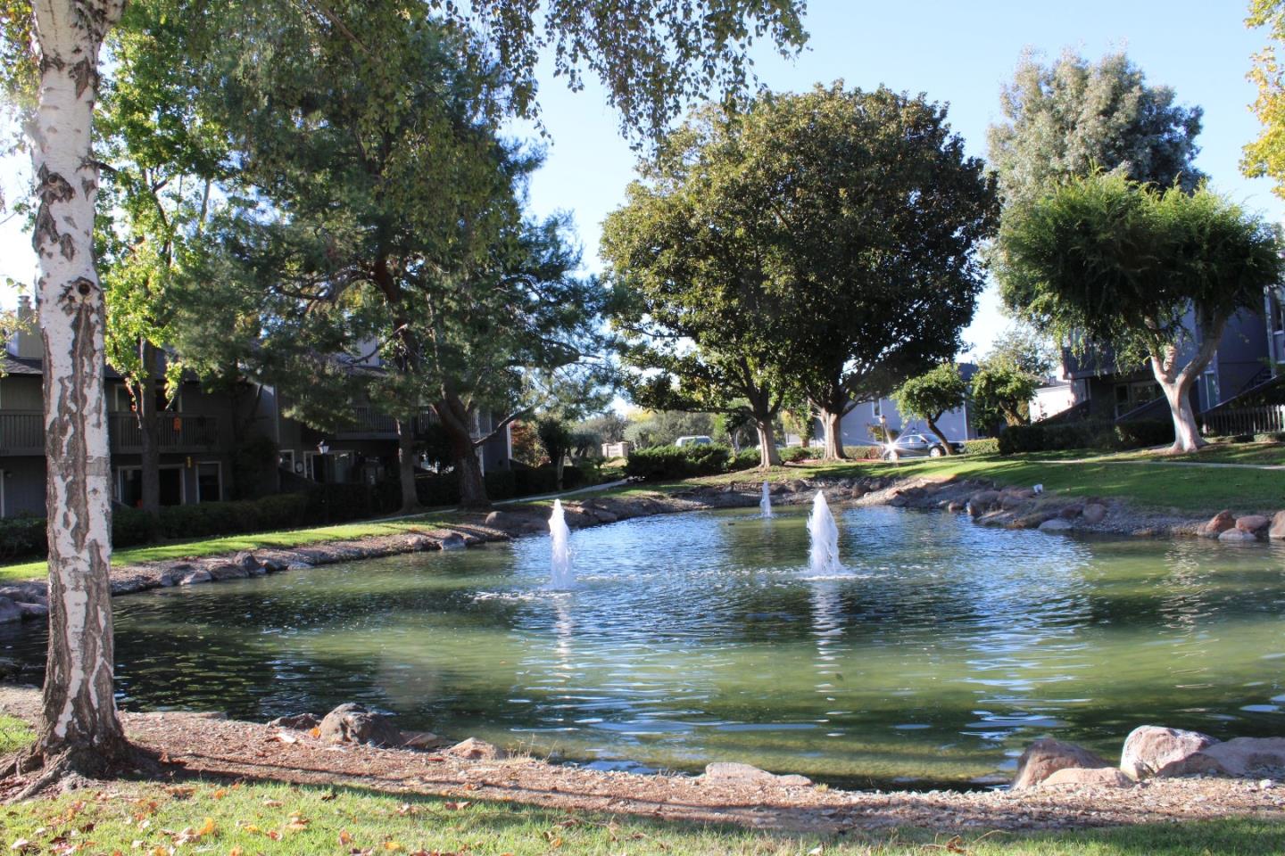 2298 Almaden Road, Unit B San Jose, CA 95125 - Photo 19 of 21 a view of a lake with trees