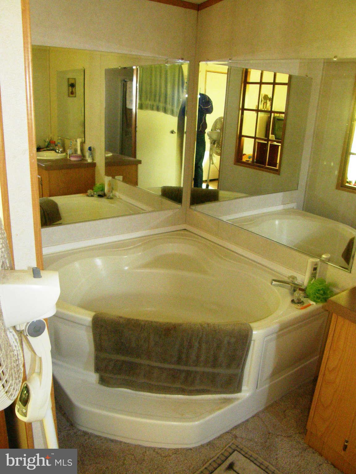 22652 Dover Bridge Road Preston, MD 21655 - Photo 10 of 21 Bath (Master)