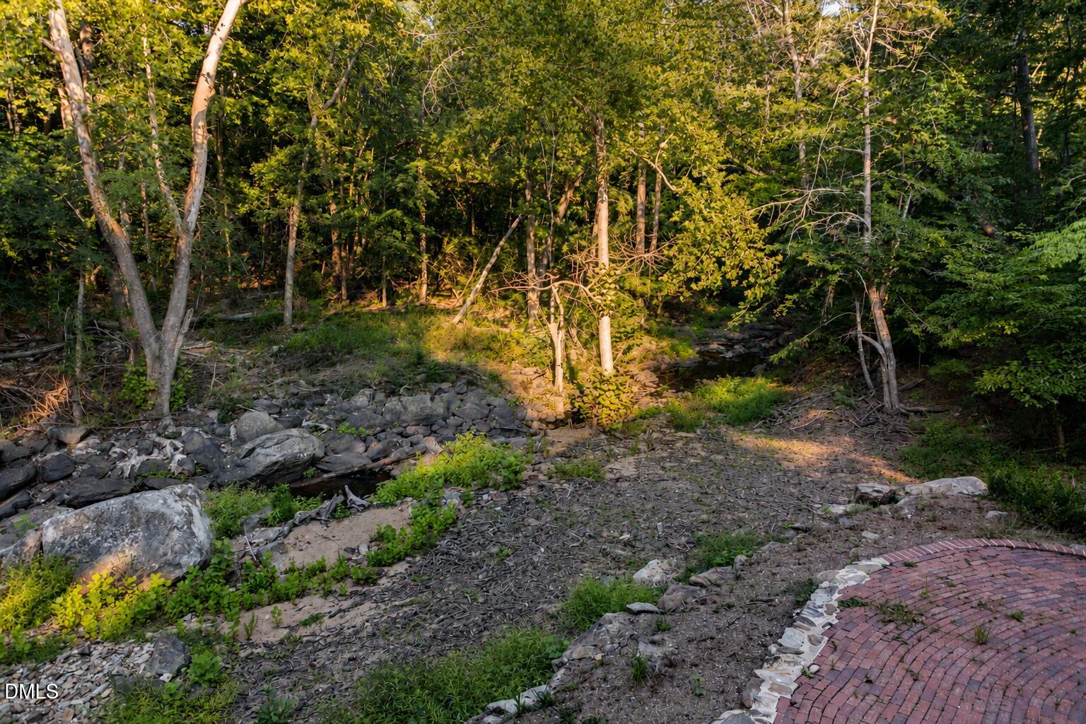 180 Hobbs Road Pittsboro, NC 27312 - Photo 68 of 76 Creek View 10