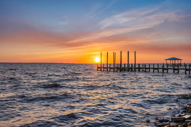 a view of a yard with an trees