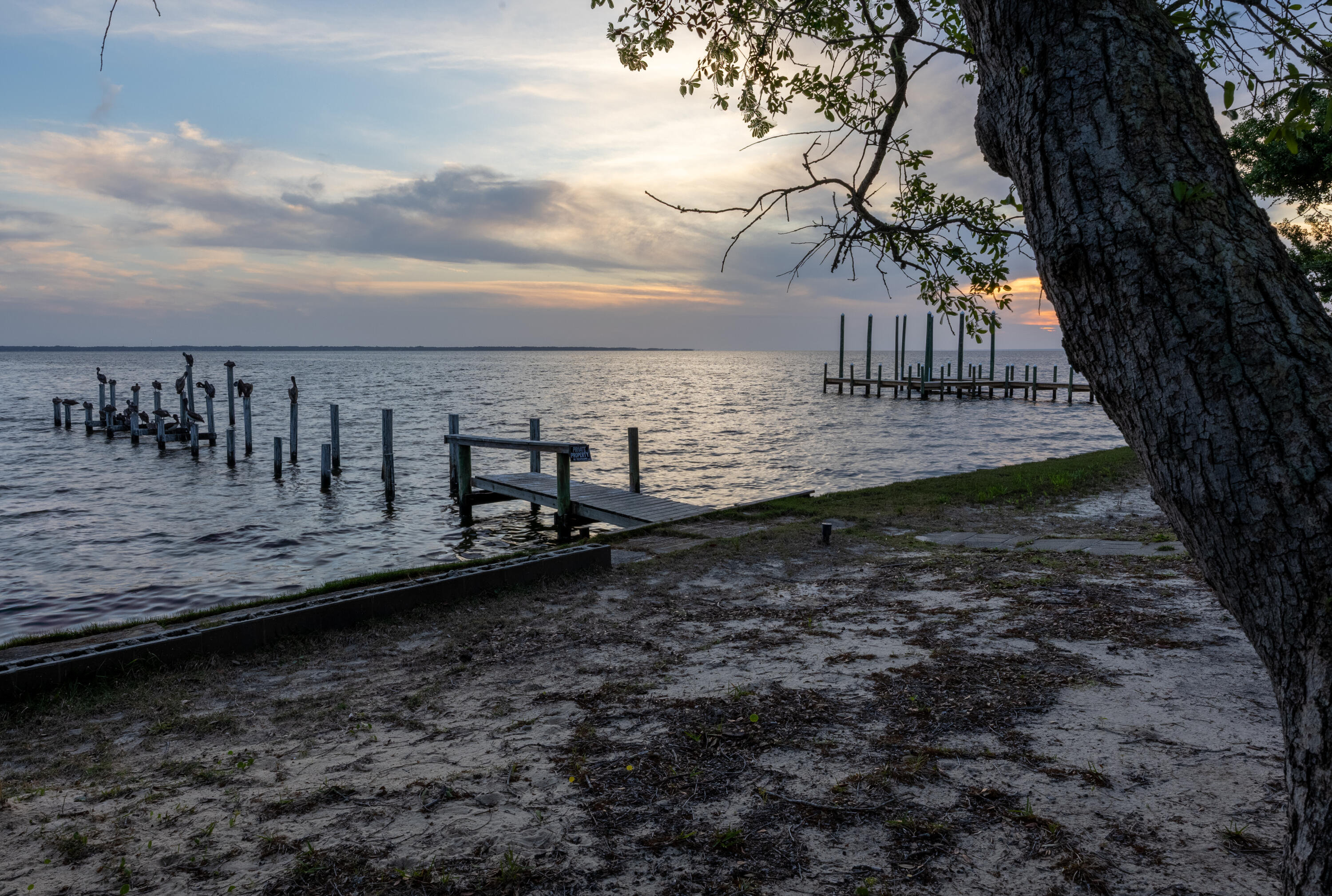 2894 Bay Grove Road Freeport, FL 32439 - Photo 26 of 29 a view of a backyard with large trees