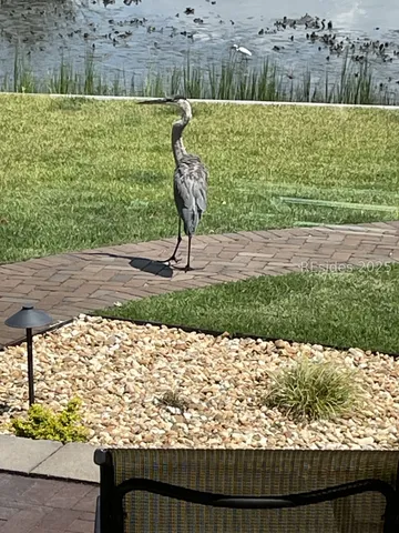 $1,850,000 | 102 Cutter Circle, Bluffton, SC 29909