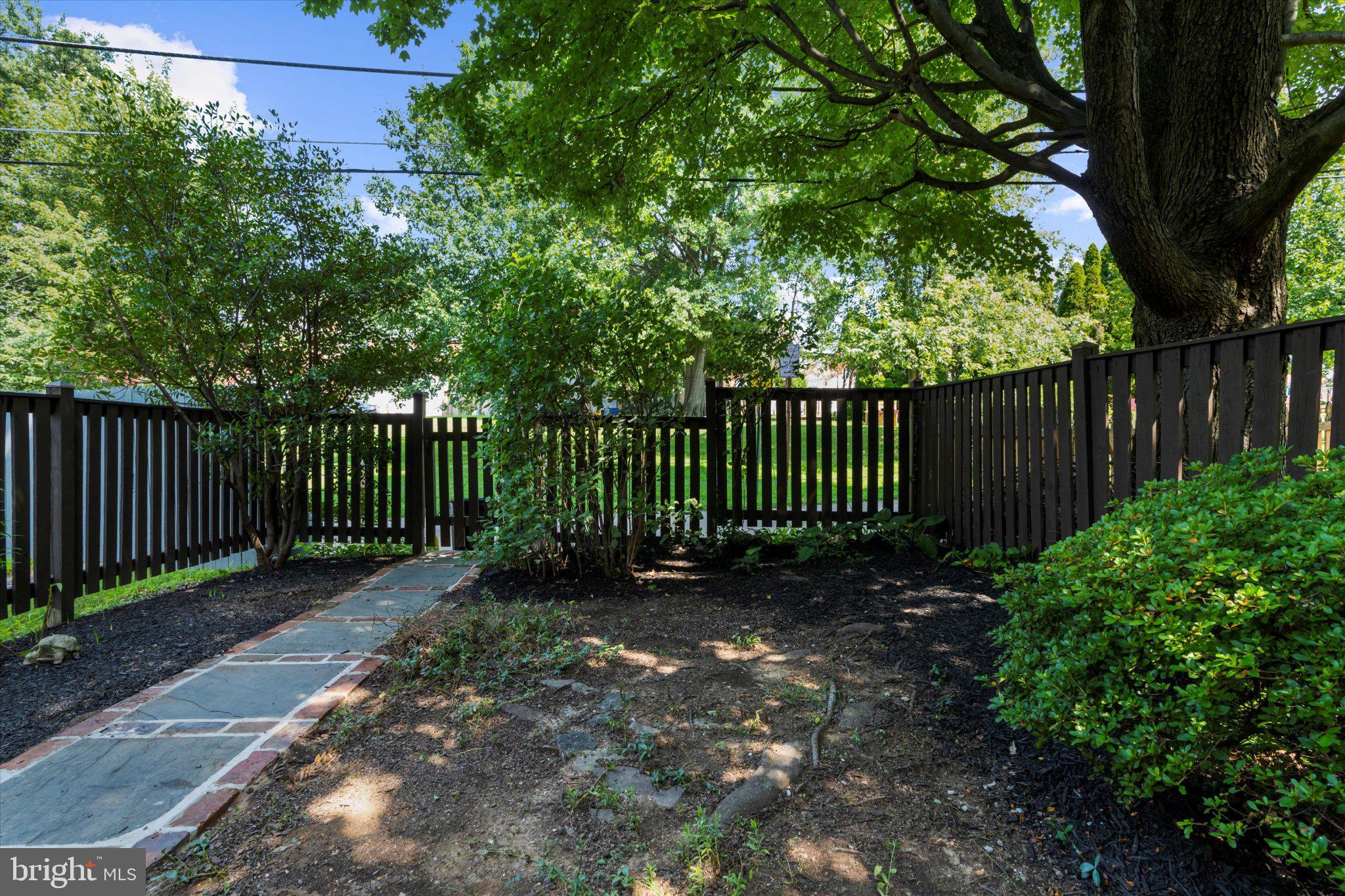 218 Blenheim Road Baltimore, MD 21212 - Photo 29 of 31 a view of a yard with plants and trees