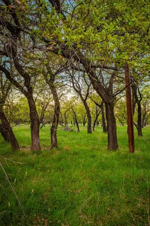 $490,000 | Lot 19 Firewheel, Graford, TX 76449