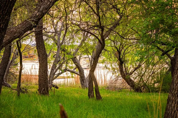 $490,000 | Lot 19 Firewheel, Graford, TX 76449