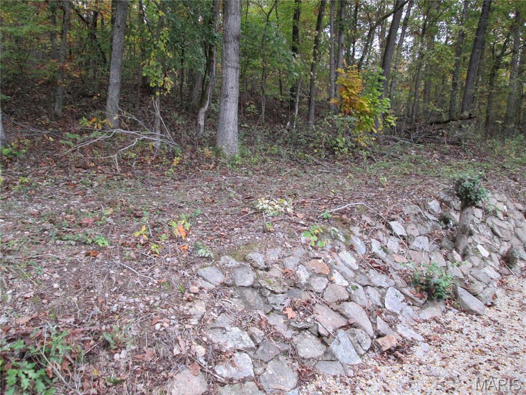 13351 State Rte H Edgar Springs, MO 65462 - Photo 5 of 26