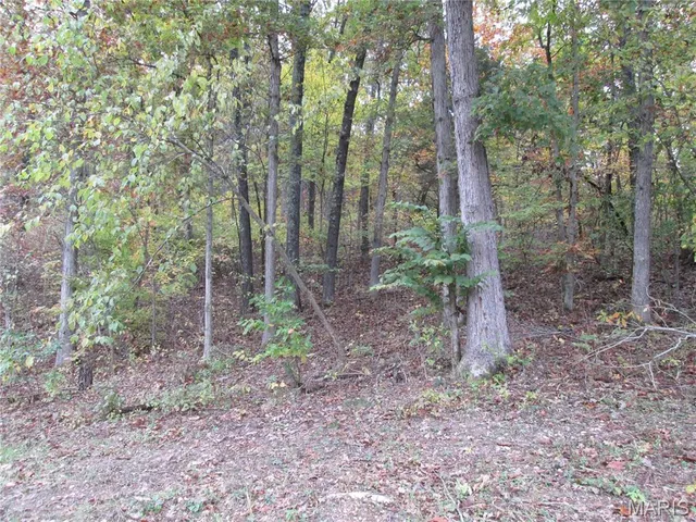 $259,900 | 13351 State Rte H, Edgar Springs, MO 65462