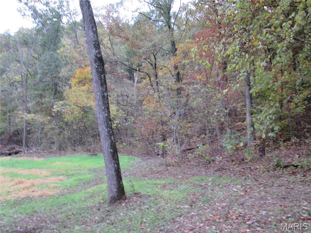 13351 State Rte H Edgar Springs, MO 65462 - Photo 8 of 26