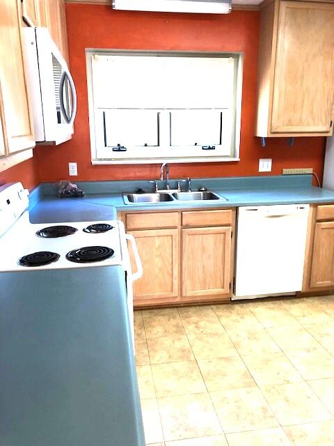 5 Peter Collinson Road Santee, SC 29142 - Photo 6 of 18 Gallery Image 6