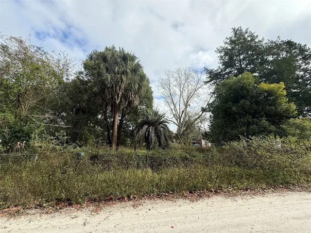 a view of a dry yard with trees