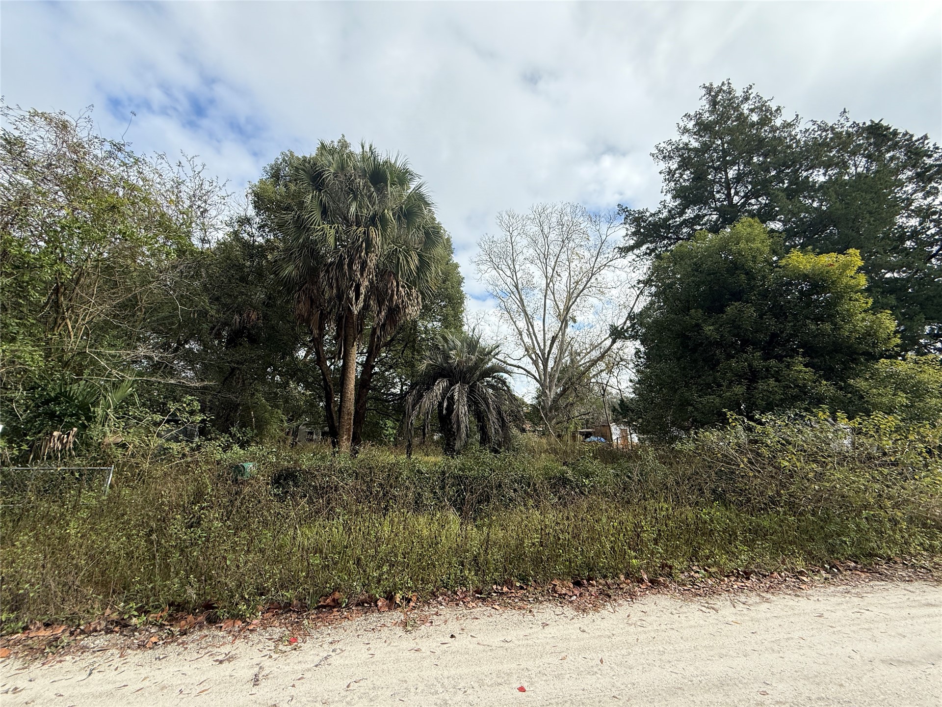 86082 Jones Road Yulee, FL 32097 - Photo 3 of 8 a view of a yard