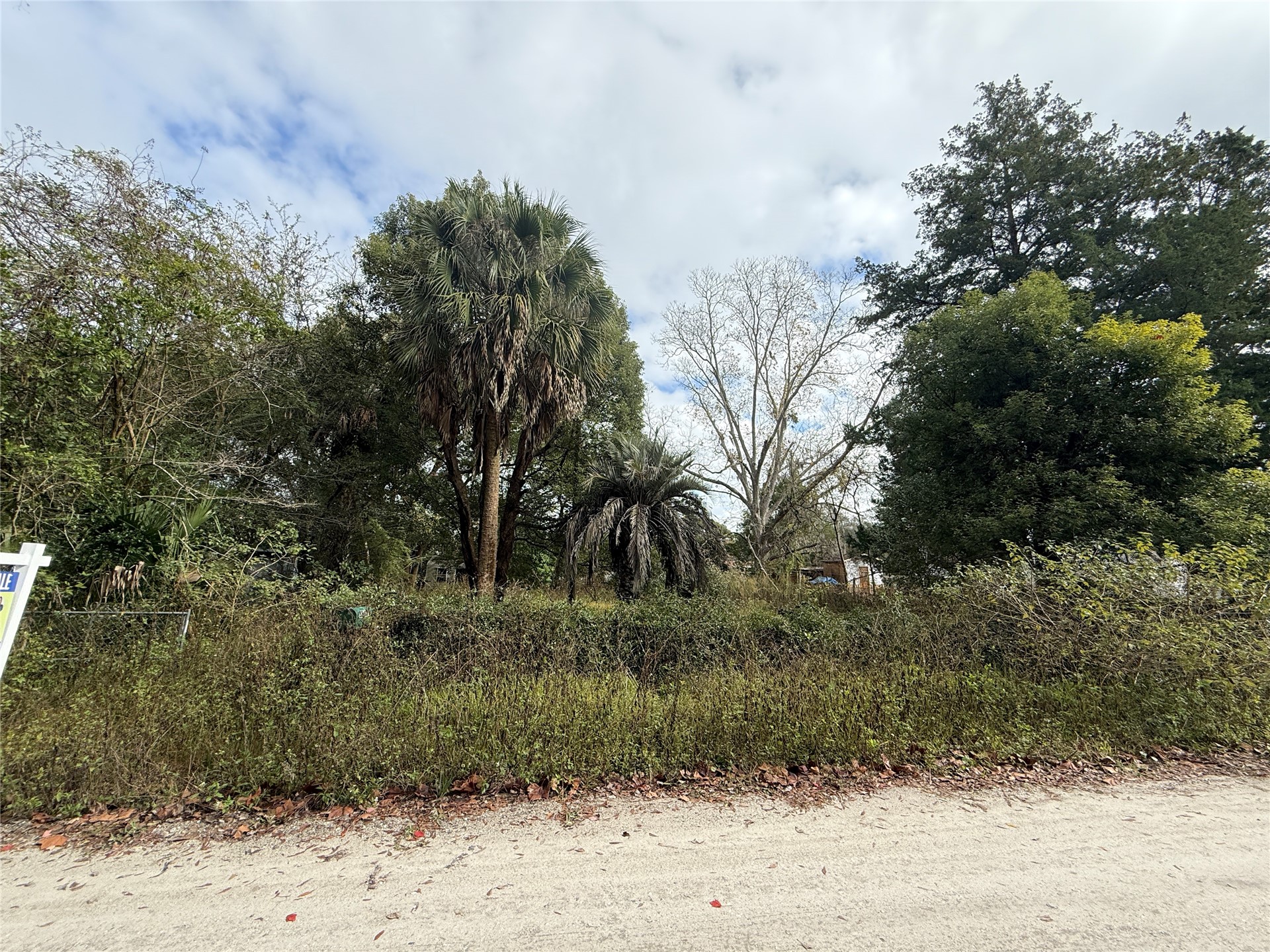 86082 Jones Road Yulee, FL 32097 - Photo 4 of 8 a view of a yard