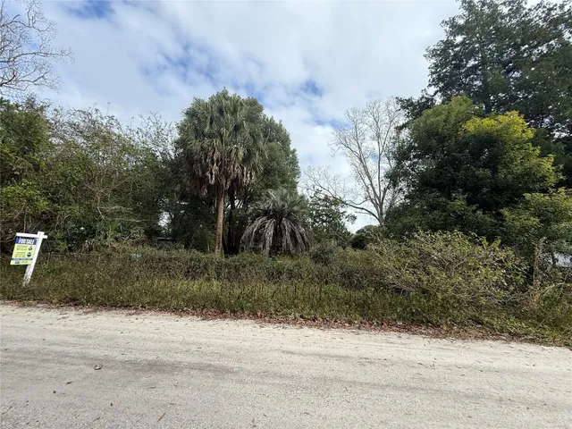 a view of a yard with plants and trees