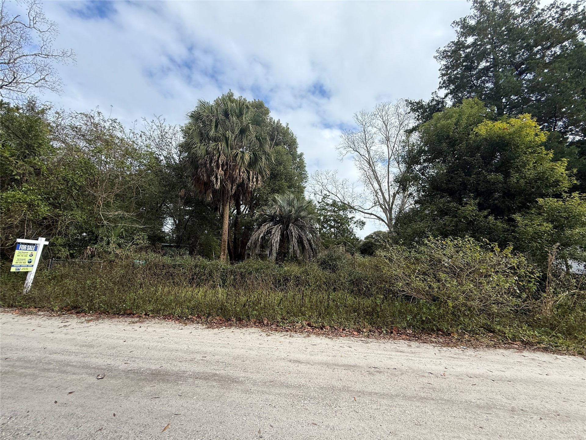 86082 Jones Road Yulee, FL 32097 - Photo 5 of 8 a view of a yard with plants and trees