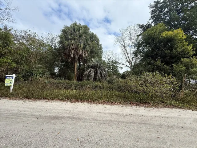 a view of a yard with plants and trees