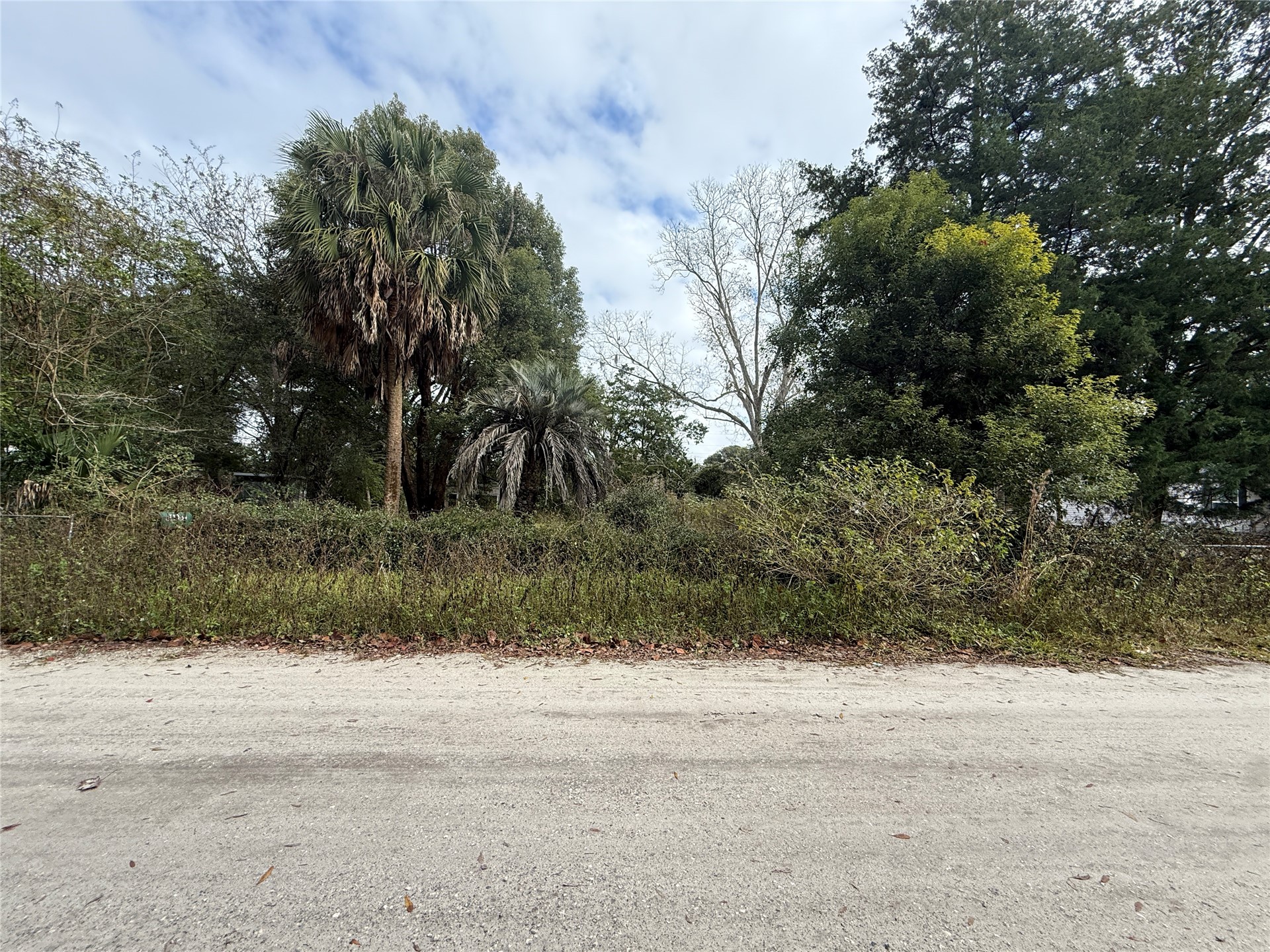86082 Jones Road Yulee, FL 32097 - Photo 7 of 8 a view of a yard and mountain view