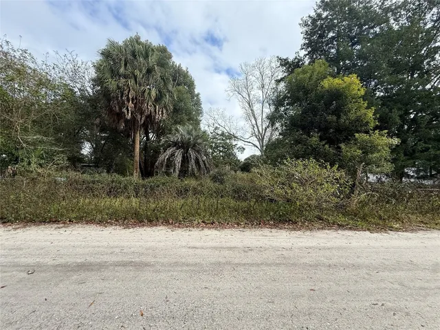 a view of a yard with plants and trees