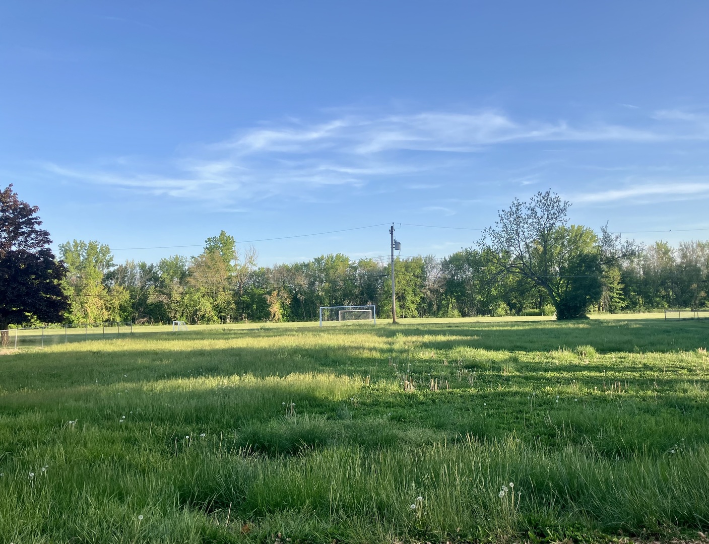 4710 51st Avenue Moline, IL 61265 - Photo 1 of 1 a yard with lots of green space and trees in the back