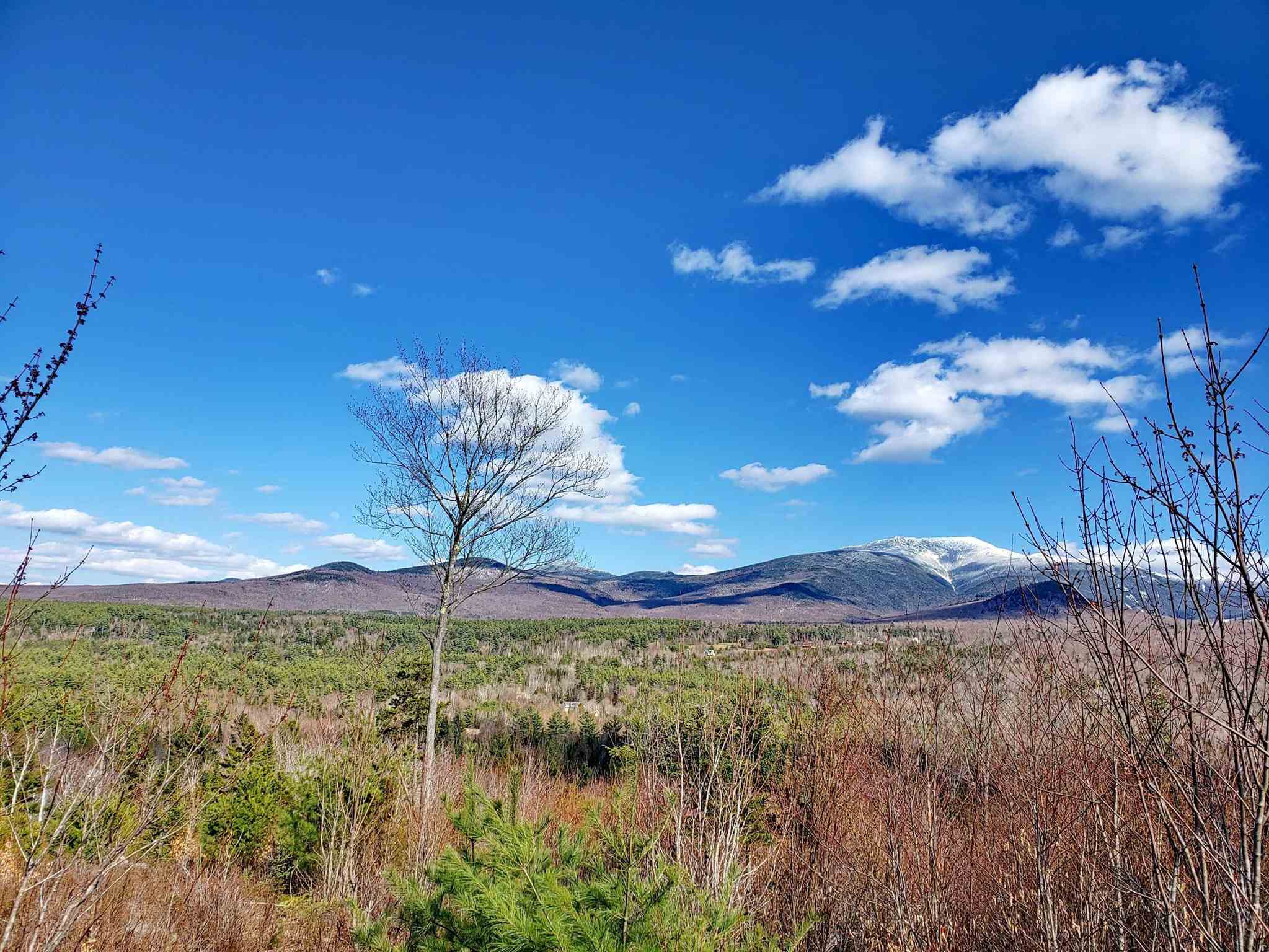 0 Wells/ Morristown Road Franconia, NH 03580 - Photo 4 of 10