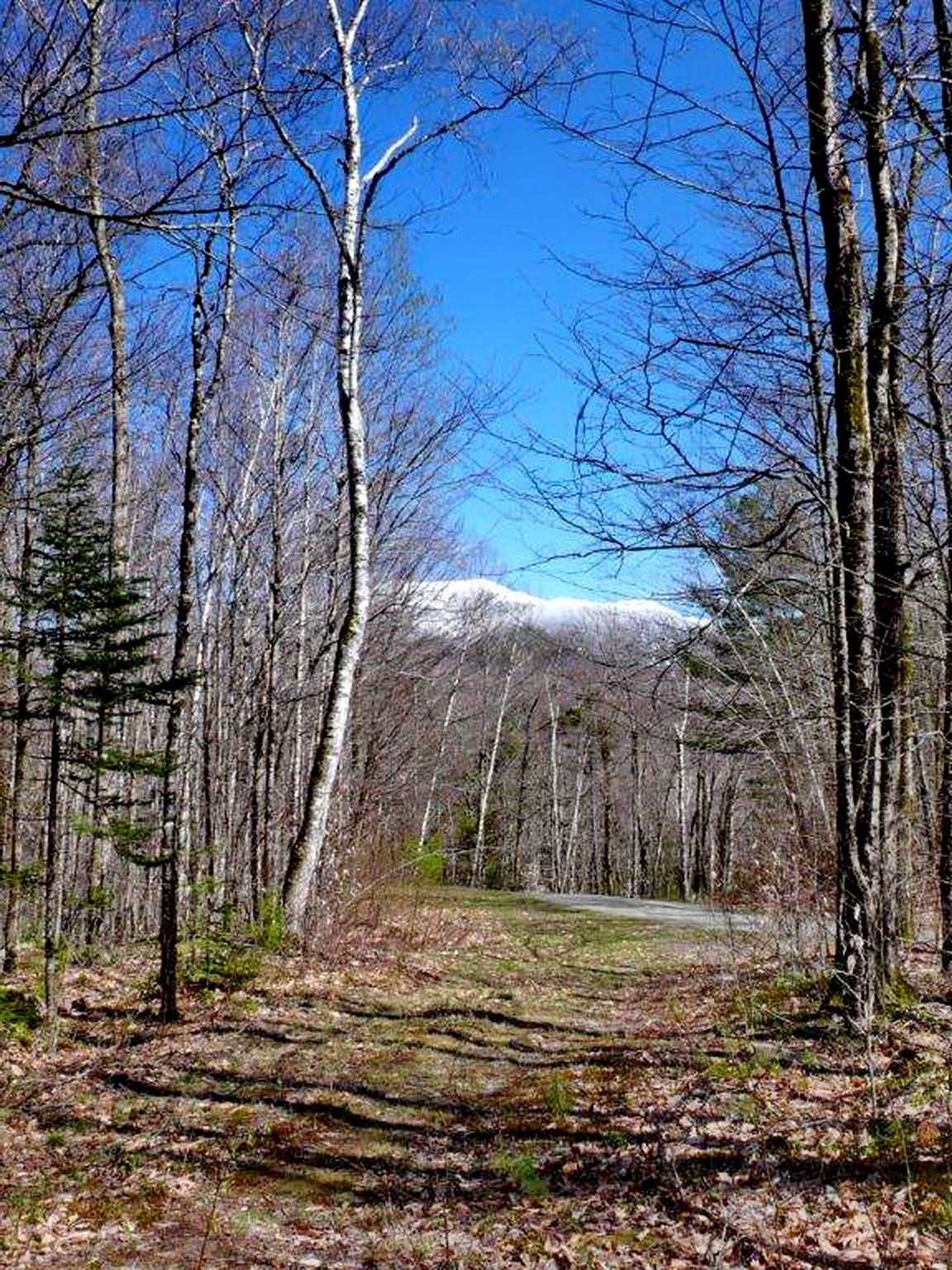 0 Wells/ Morristown Road Franconia, NH 03580 - Photo 6 of 10
