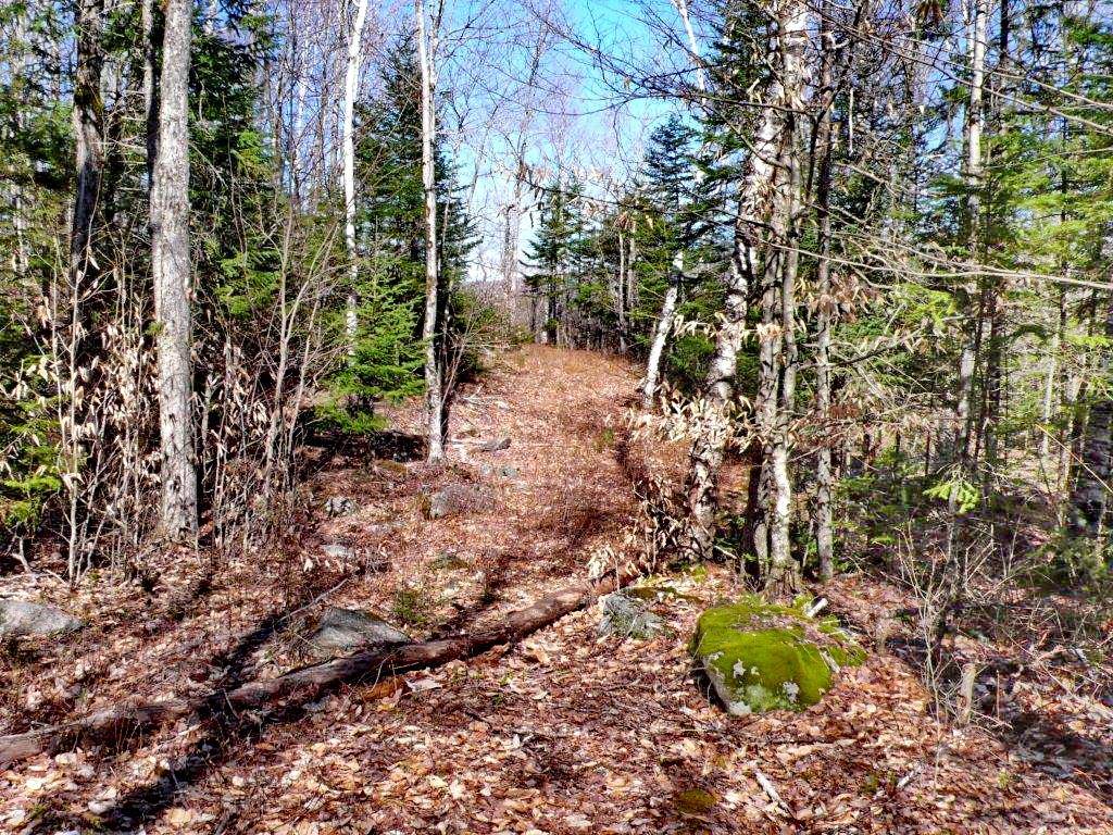 0 Wells/ Morristown Road Franconia, NH 03580 - Photo 7 of 10