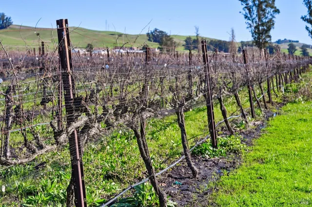 $1,795,000 | 3957 Lakeville Highway, Petaluma, CA 94954