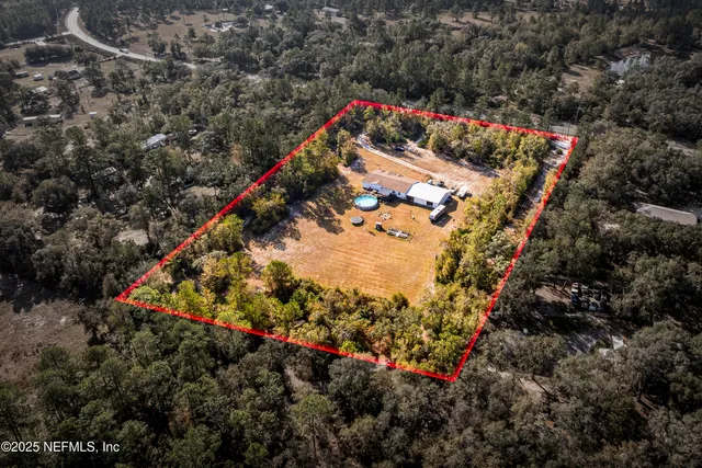 a view of a garden with flowers