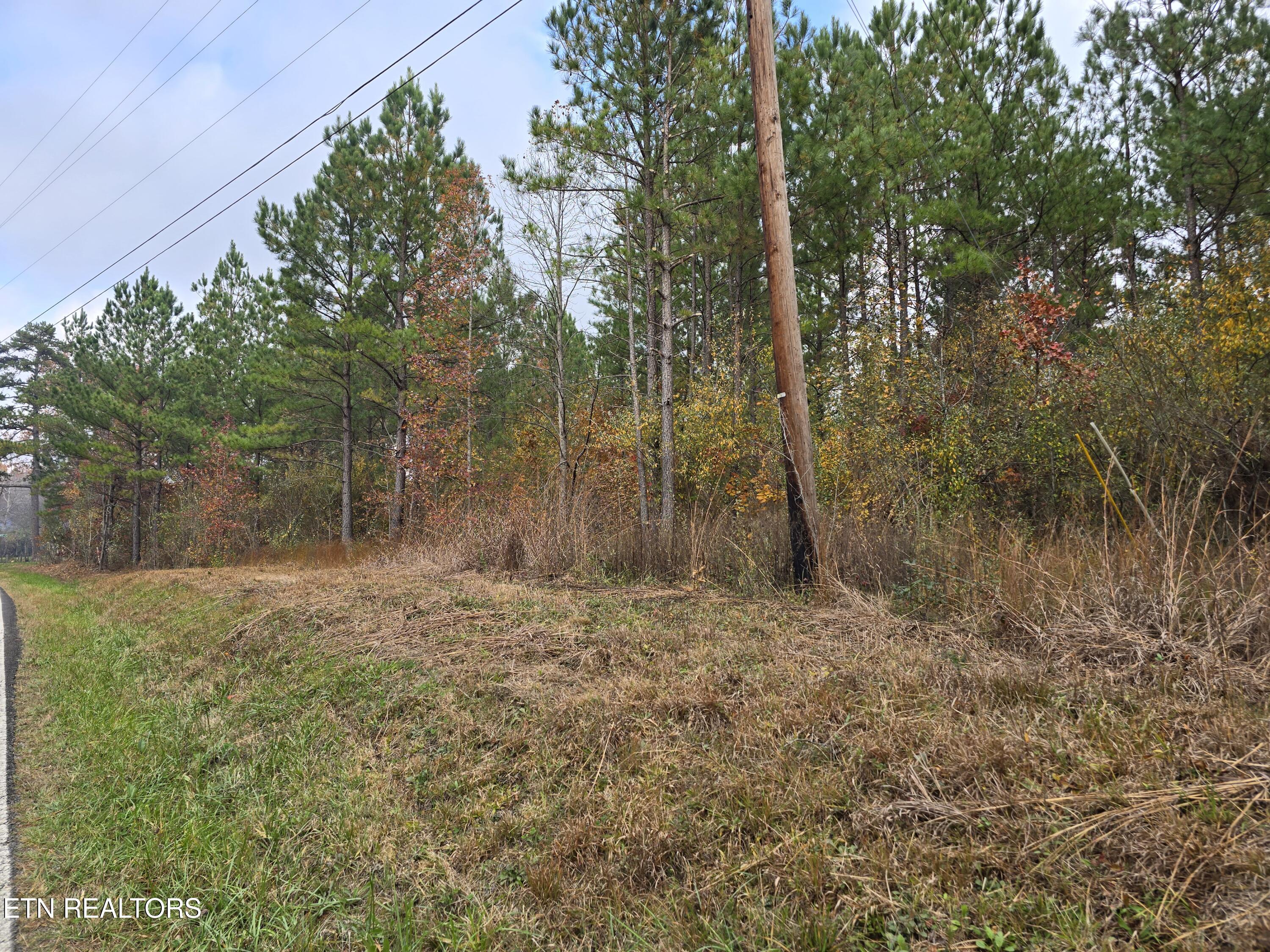 Lot 6 West Robbins Road Robbins, TN 37852 - Photo 1 of 10 Lot 6 Holly Woods (3)