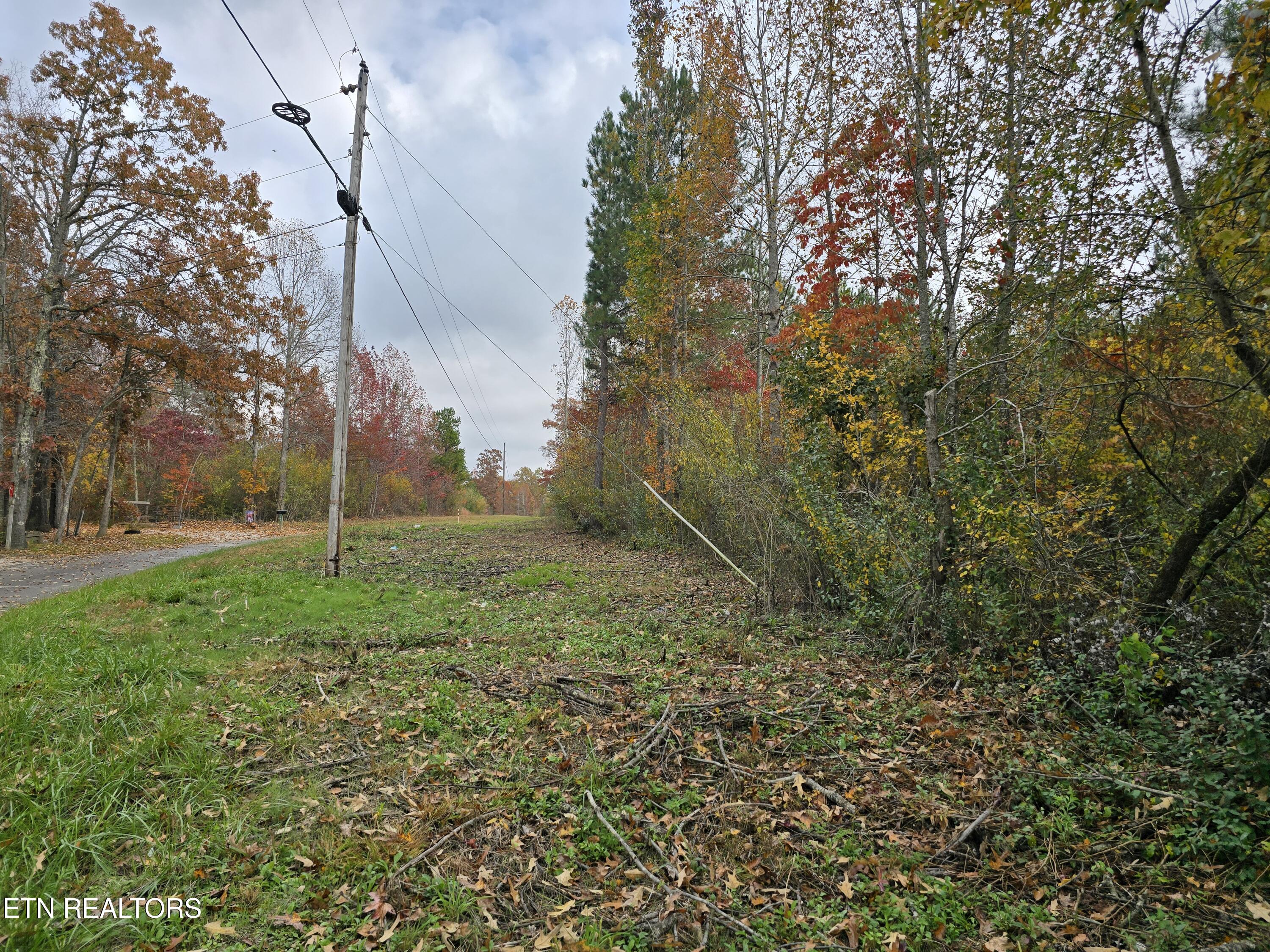 Lot 6 West Robbins Road Robbins, TN 37852 - Photo 4 of 10 Lot 6 Holly Woods (4)