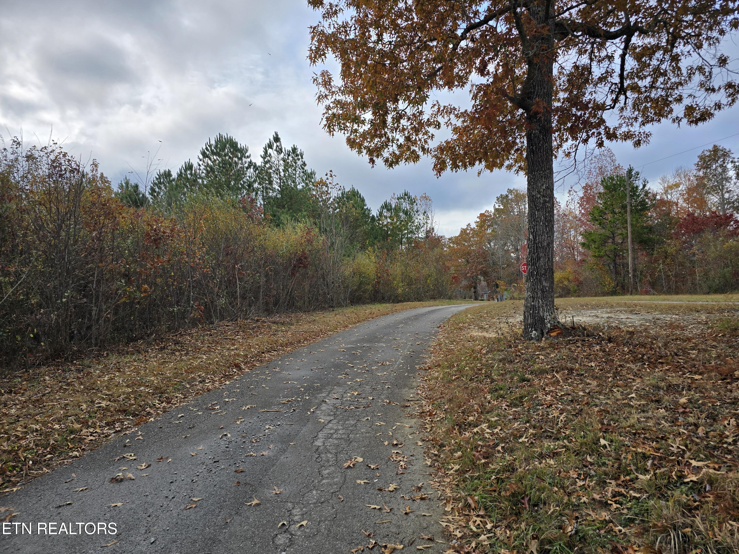 Lot 6 West Robbins Road Robbins, TN 37852 - Photo 6 of 10 Lot 6 Holly Woods (7)