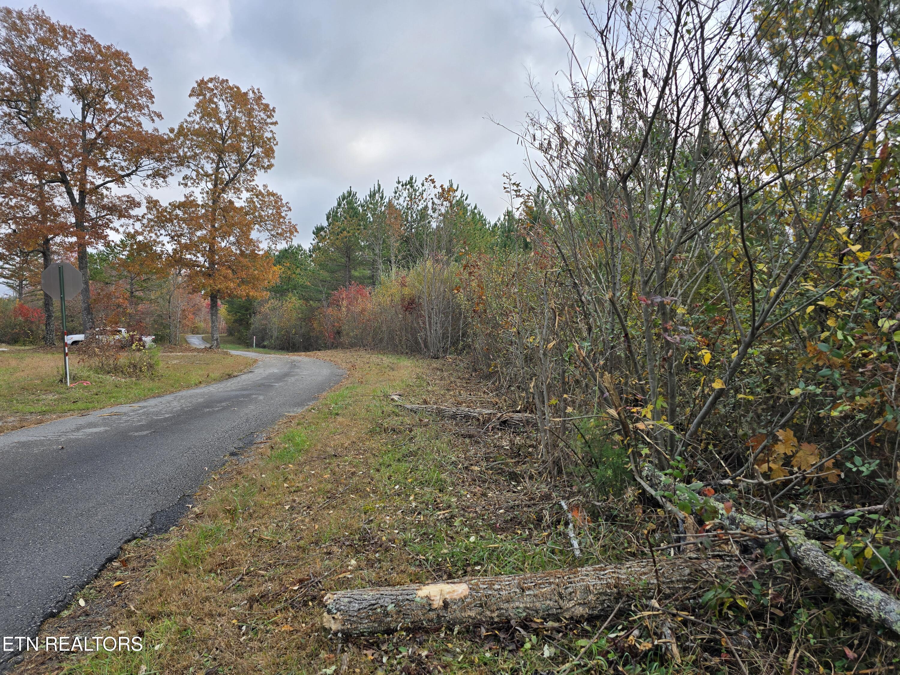 Lot 6 West Robbins Road Robbins, TN 37852 - Photo 8 of 10 Lot 6 Holly Woods (9)