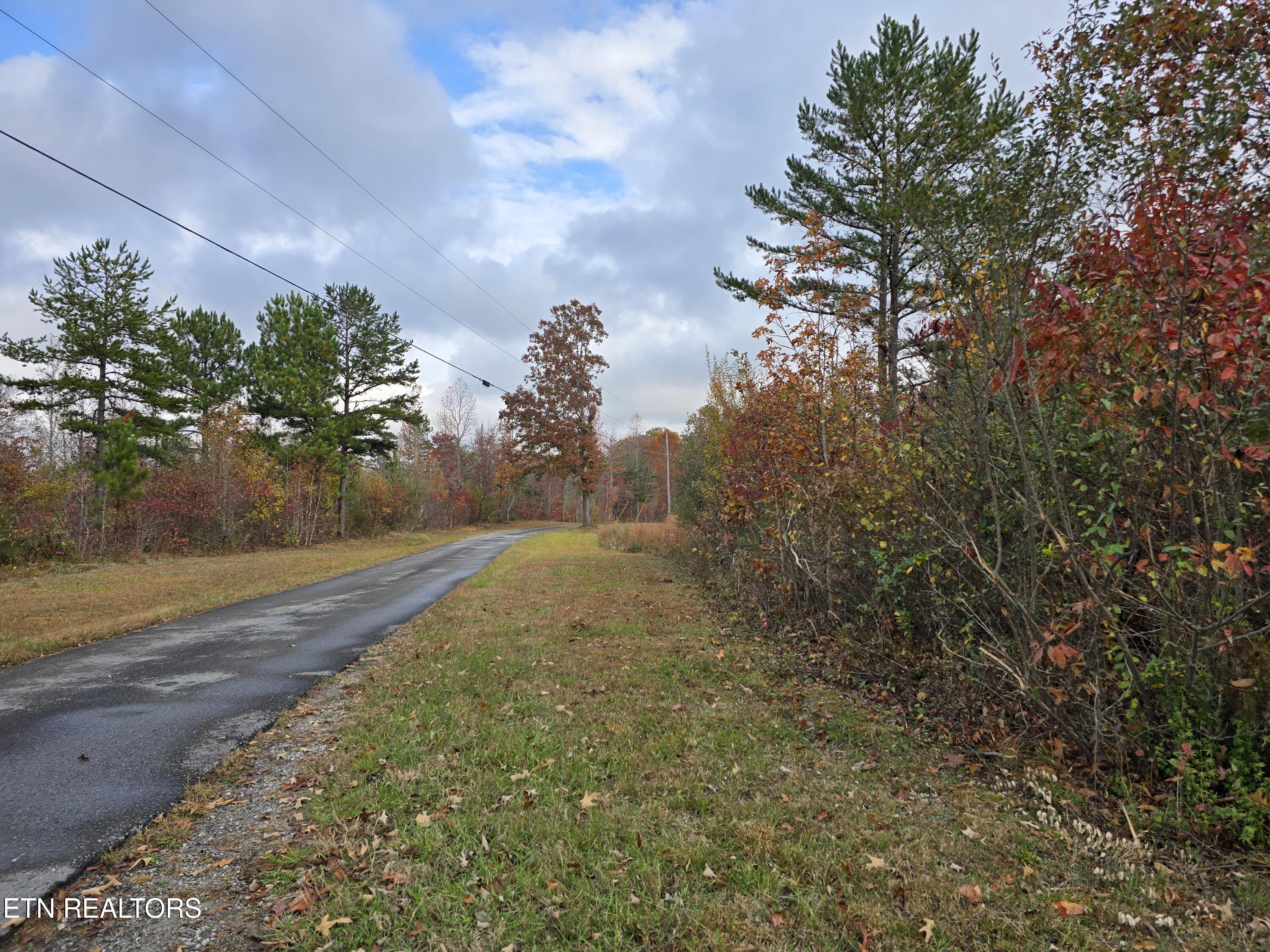 Lot 6 West Robbins Road Robbins, TN 37852 - Photo 9 of 10 Lot 6 Holly Woods (11)