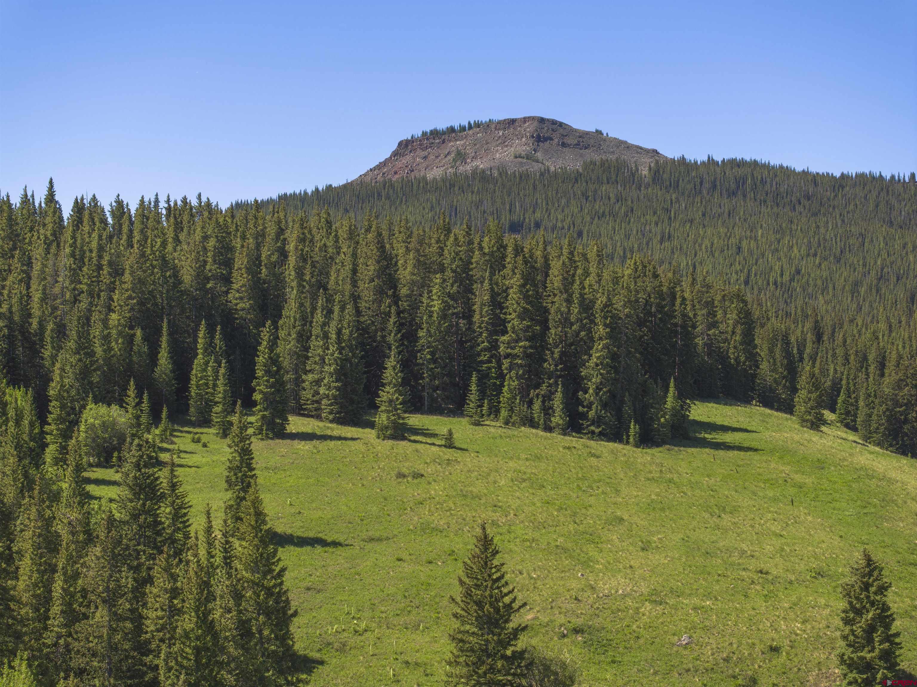 1371 Red Mountain Ranch Road Crested Butte, CO 81224 - Photo 41 of 41