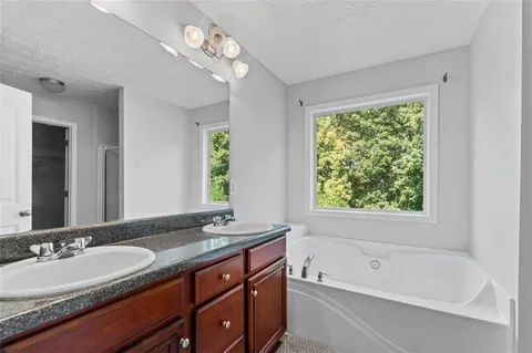 a bathroom with a tub a double vanity sink and a large mirror