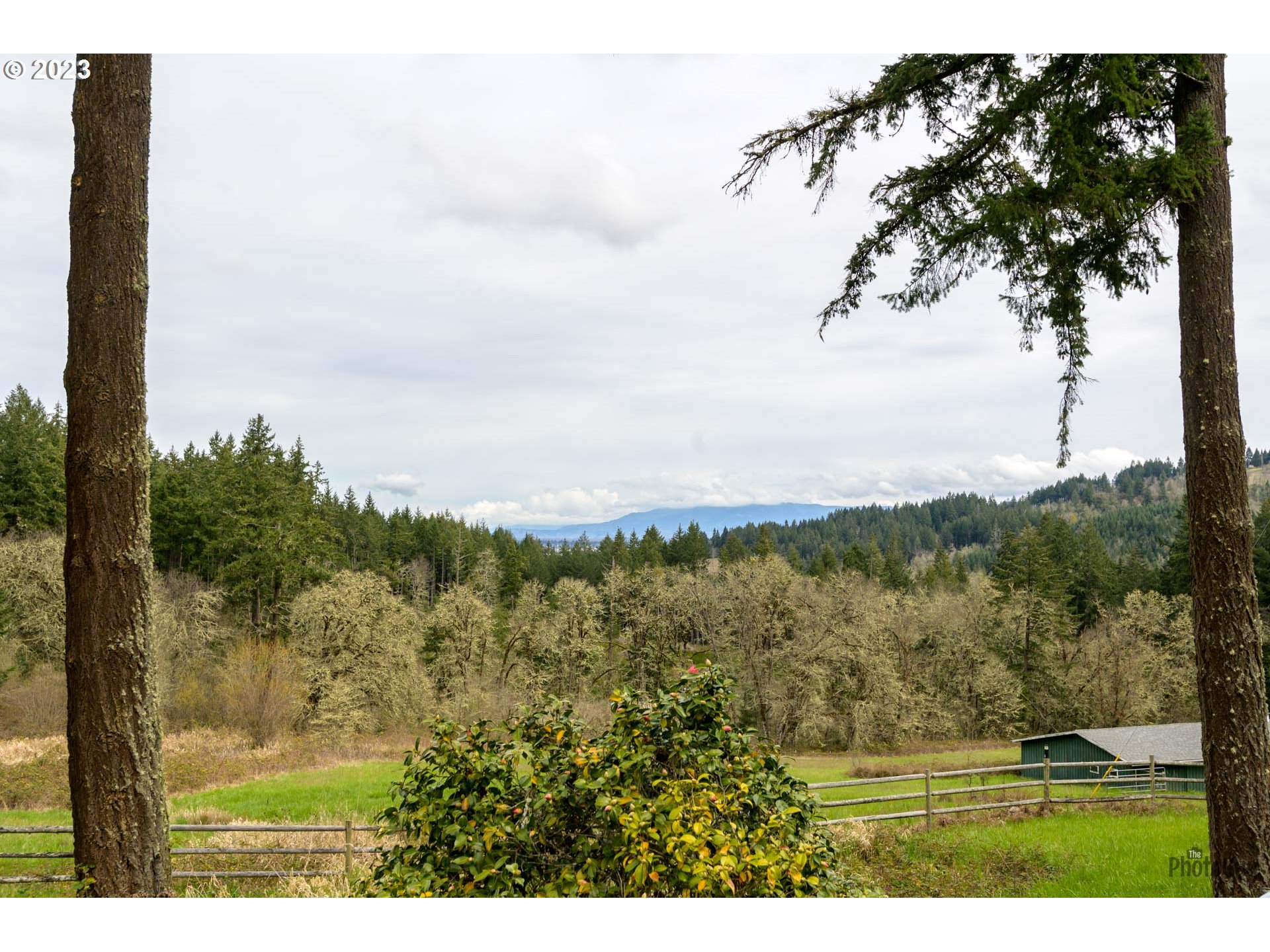 29670 Kloutz Road Eugene, OR 97405 - Photo 32 of 47 Gallery Image 32