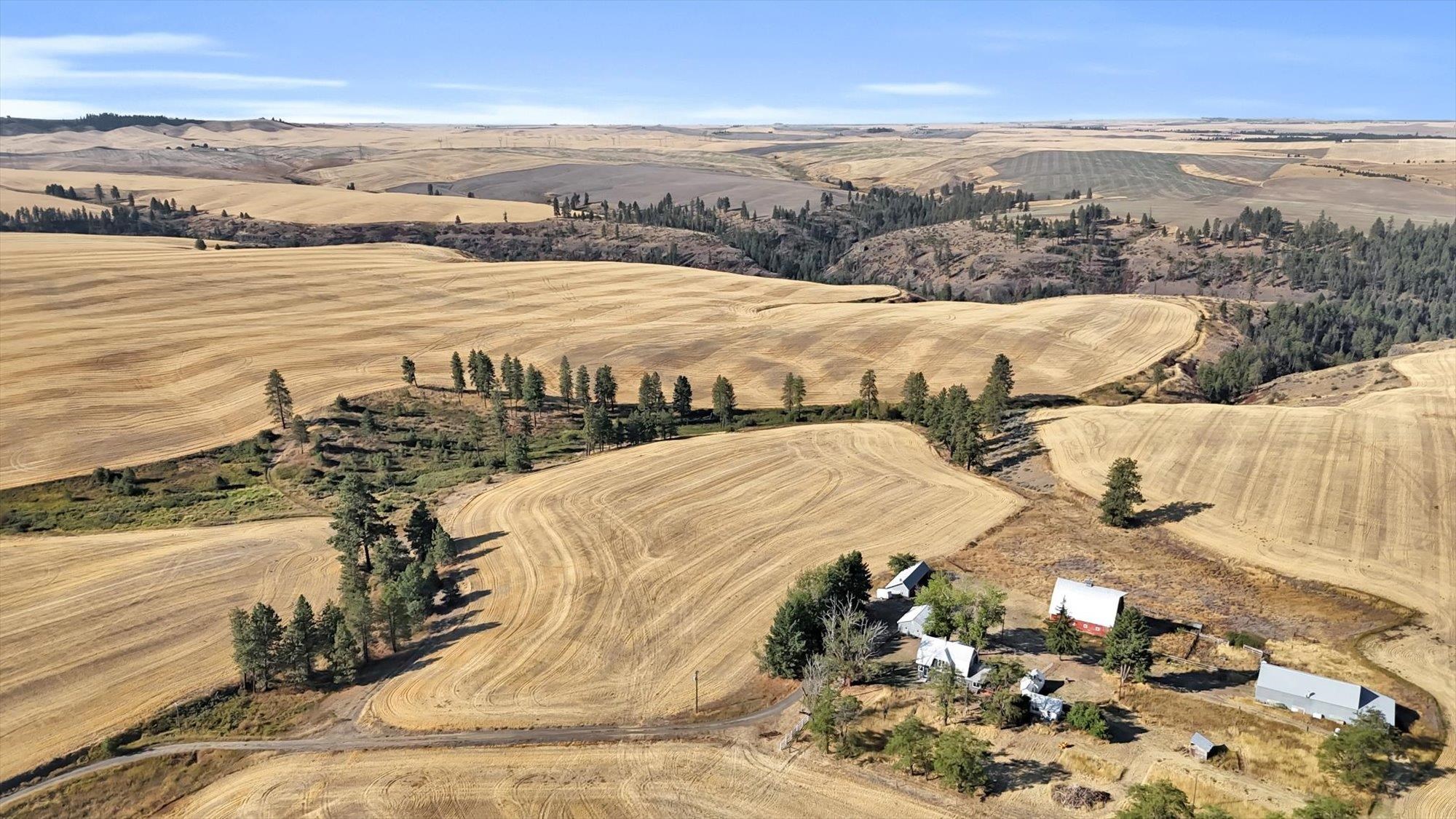 Nna Oehlschlaeger Road Reardan, WA 99029 - Photo 9 of 17 Gallery Image 9