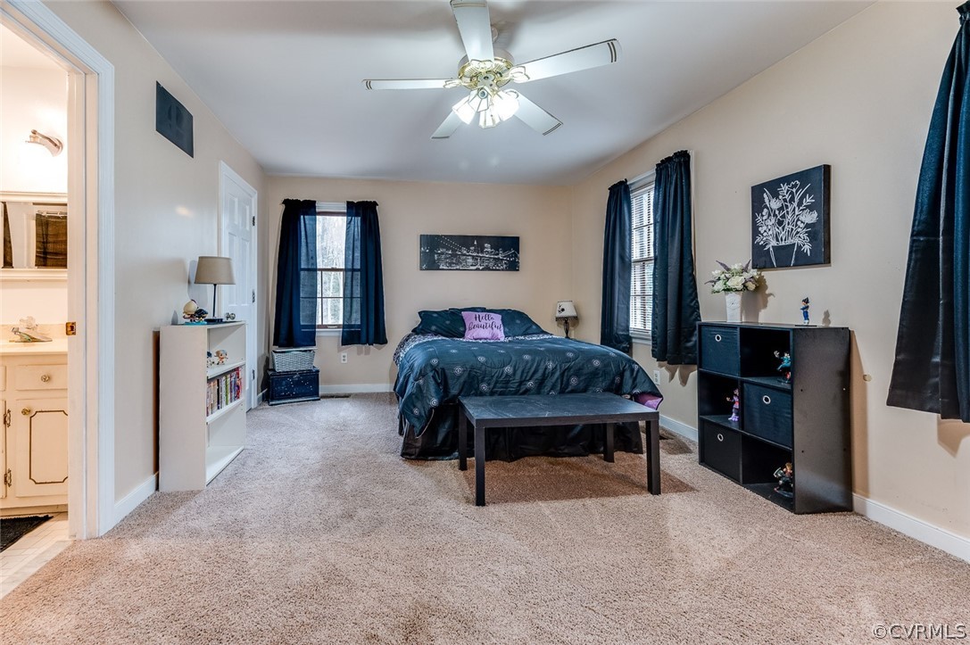 17500 Wilkinson Road Dinwiddie, VA 23841 - Photo 13 of 29 Gallery Image 13