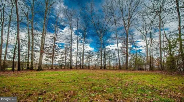 a view of outdoor space with trees