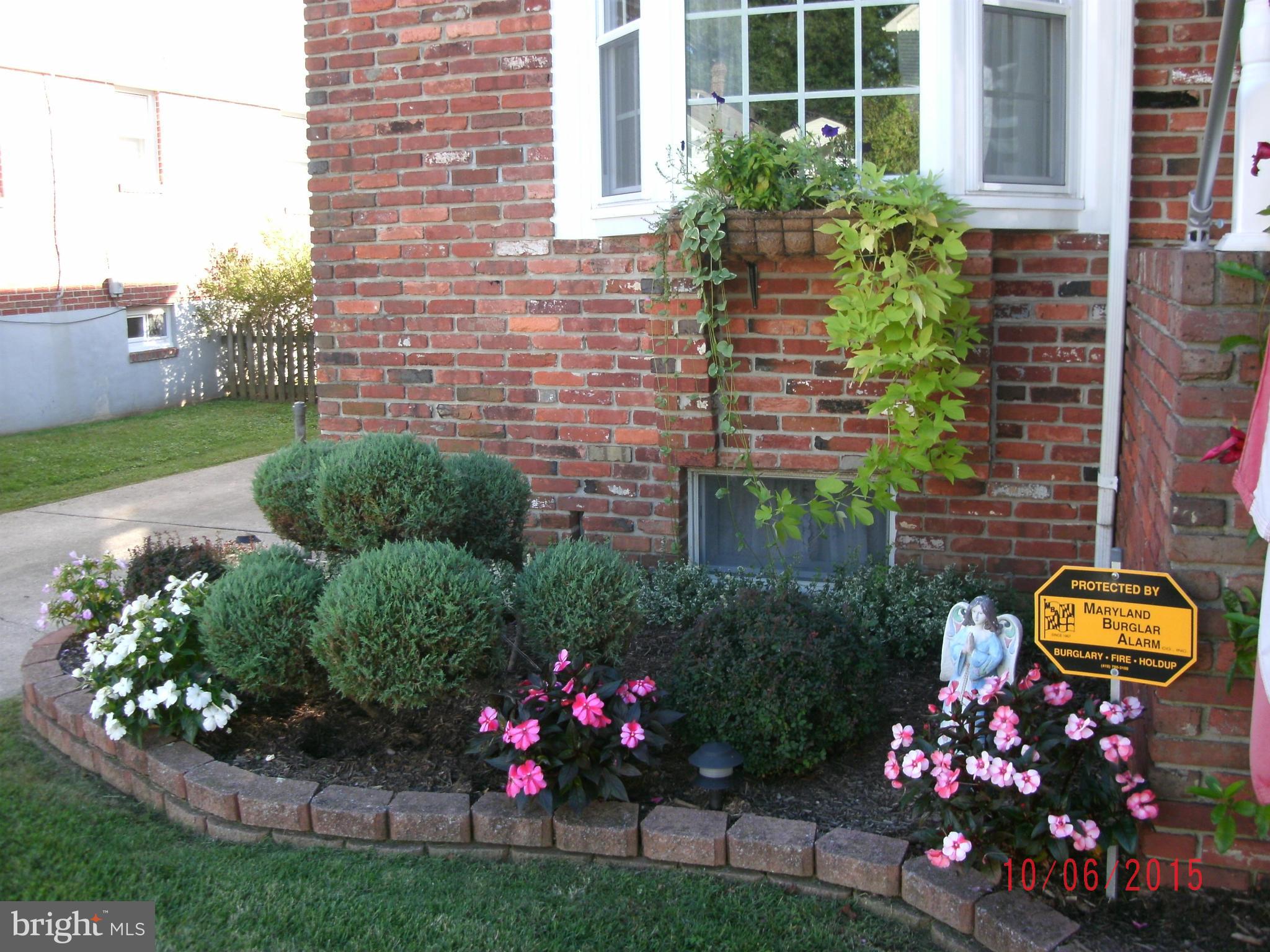 323 Nicholson Road Baltimore, MD 21221 - Photo 3 of 30 a view of a garden filled with flowers