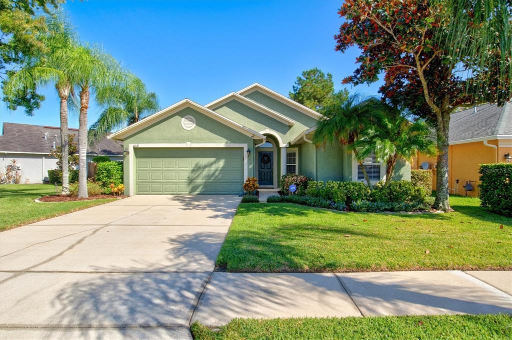 16641 Fairbolt Way Odessa, FL 33556 - Photo 1 of 1