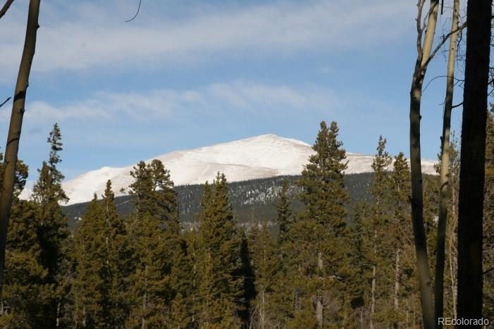 Evenrude Road Fairplay, CO 80440 - Photo 1 of 23 Gallery Image 1