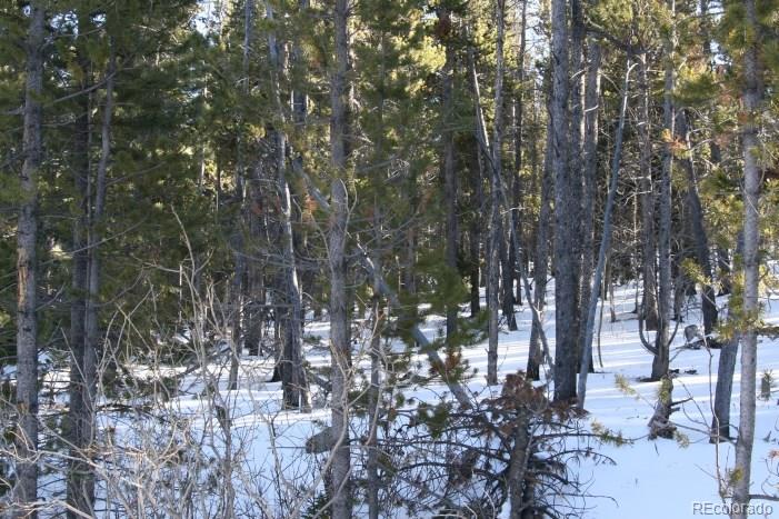 Evenrude Road Fairplay, CO 80440 - Photo 20 of 23 Gallery Image 20