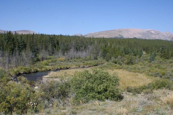 Evenrude Road Fairplay, CO 80440 - Photo 5 of 23 Gallery Image 5