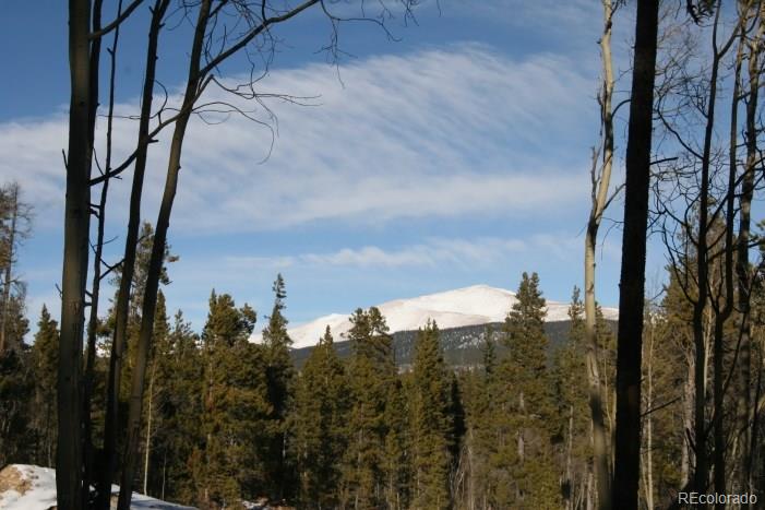 Evenrude Road Fairplay, CO 80440 - Photo 7 of 23 Gallery Image 7