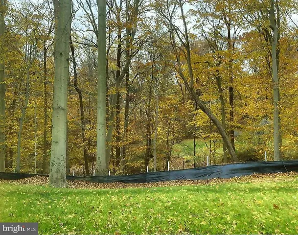 a view of a yard with large trees