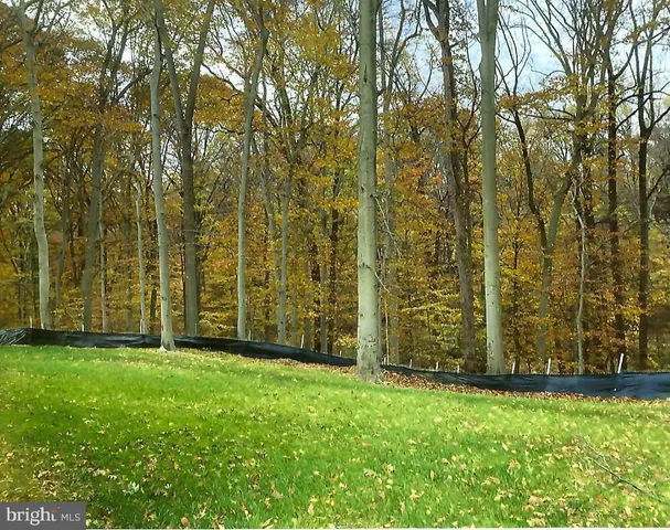 front view of a yard with large trees